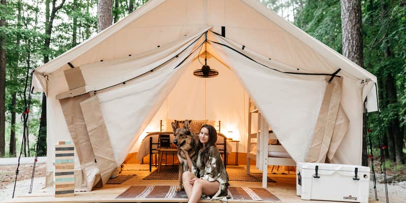 Camper submitted image from Timberline Glamping At Unicoi State Park