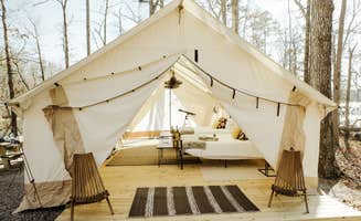 Michael V.'s photo at Timberline Glamping At Unicoi State Park near Baldwin, GA