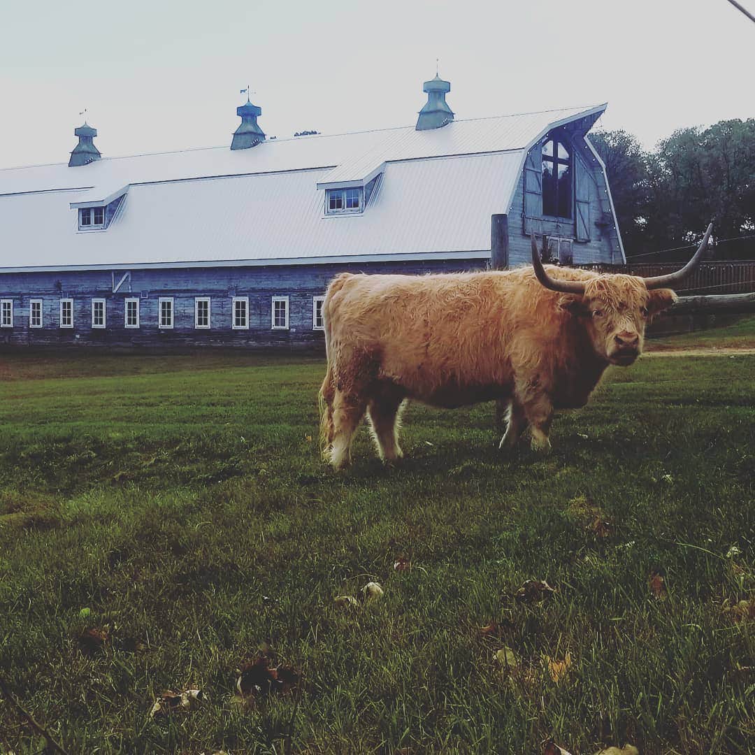 Camper-submitted photo at Big Rock Creek near Saint Croix National Scenic River
