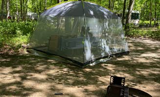 Dennis B.'s photo at Turkey Swamp Park near New Egypt, NJ