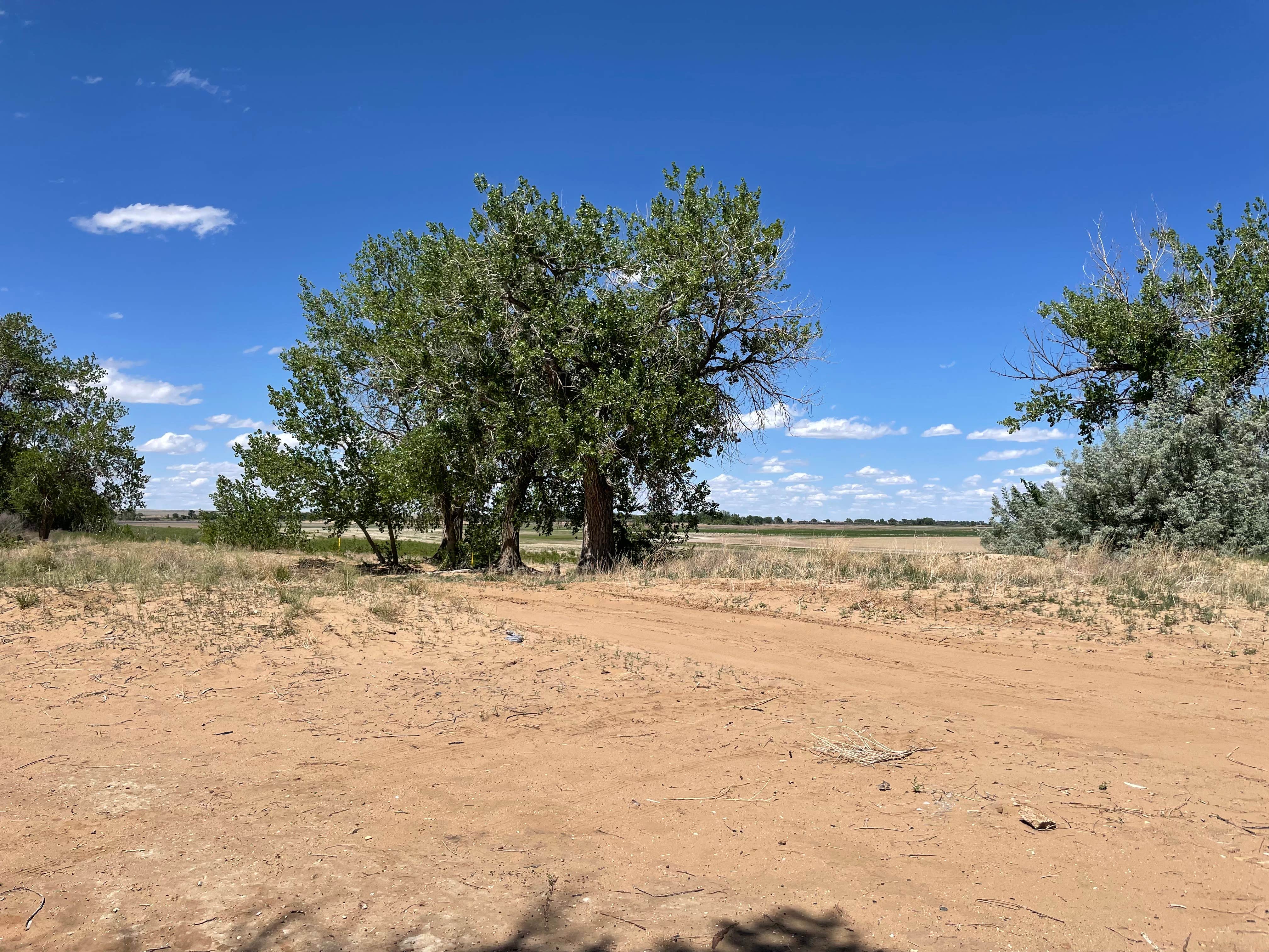 Camper submitted image from Rocky Ford Campsite - 1