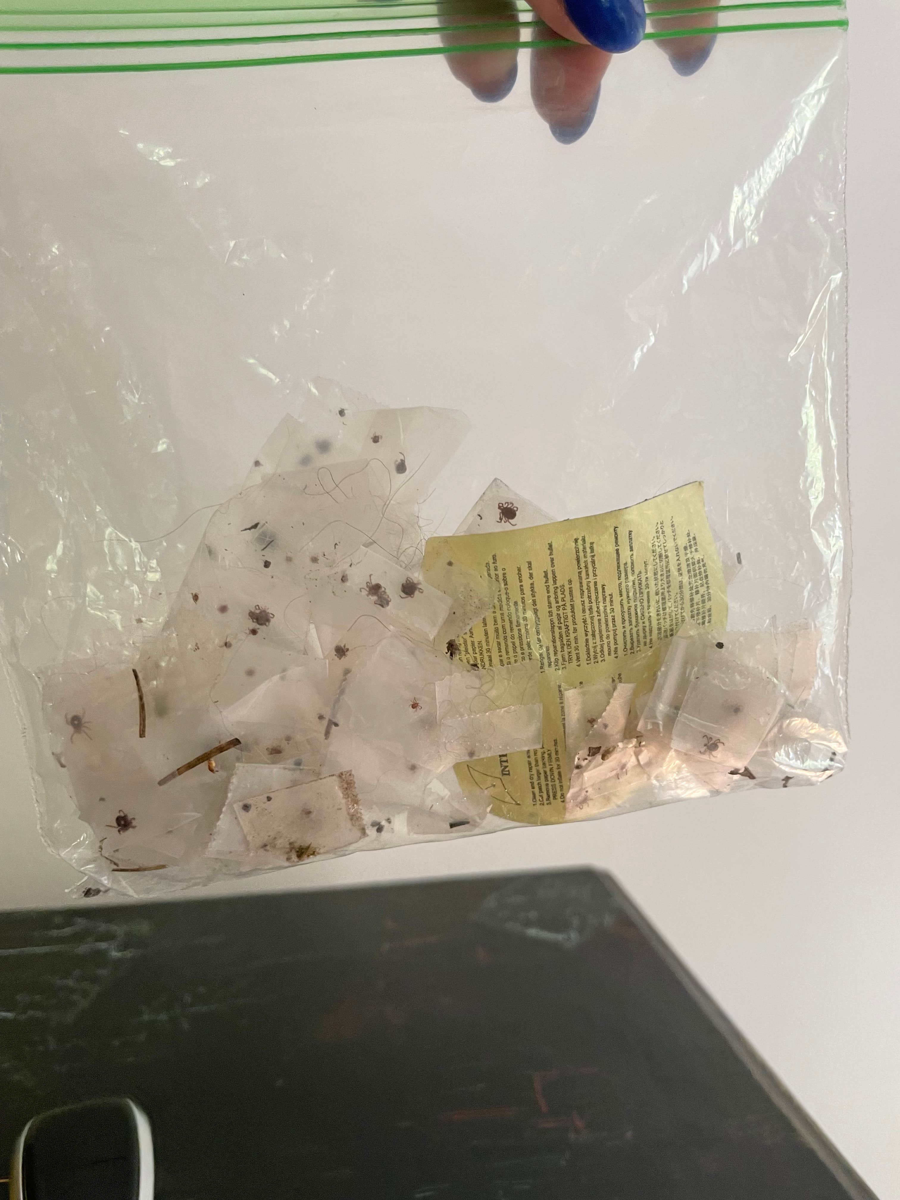 Camper-submitted photo at Godfrey Bridge — Wharton State Forest near Manahawkin, NJ