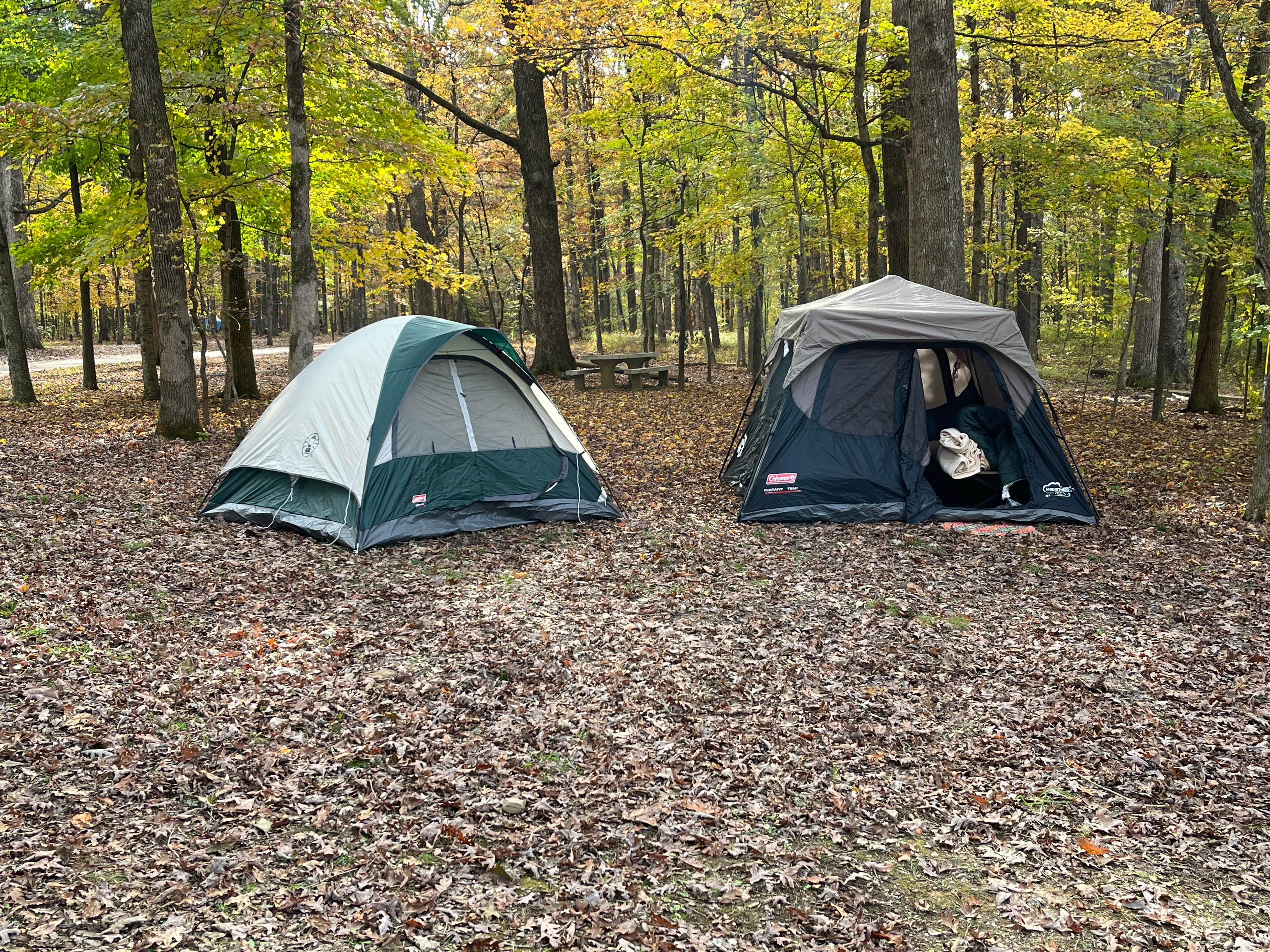 stephen's photo at Mammoth Cave Campground — Mammoth Cave National Park near Barren River Lake