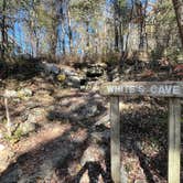 Review photo of Mammoth Cave Campground — Mammoth Cave National Park by stephen , June 1, 2022