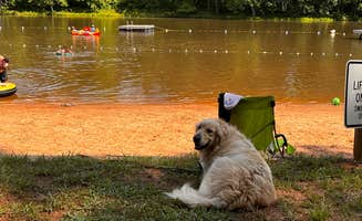 Brandon L.'s photo of camping with pets at Paradise Lake Family Campground near Lynchburg, VA