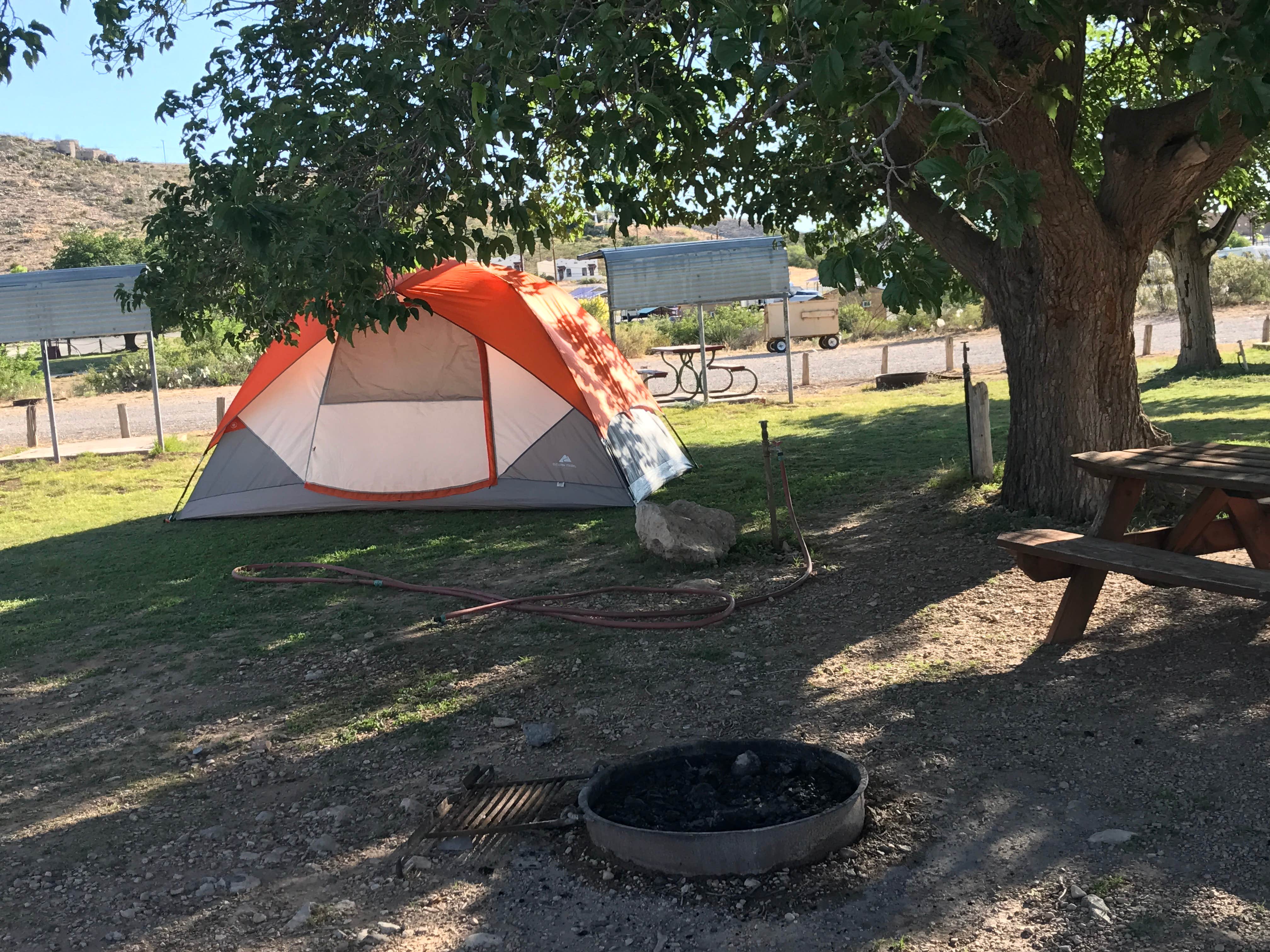 Camper submitted image from Carlsbad RV Park & Campground - 2