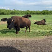 Review photo of Honey Flat Camping Area — Caprock Canyons State Park by Jeff T., May 29, 2022