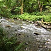 Review photo of Lyre River- State Forest by Amy H., July 15, 2018