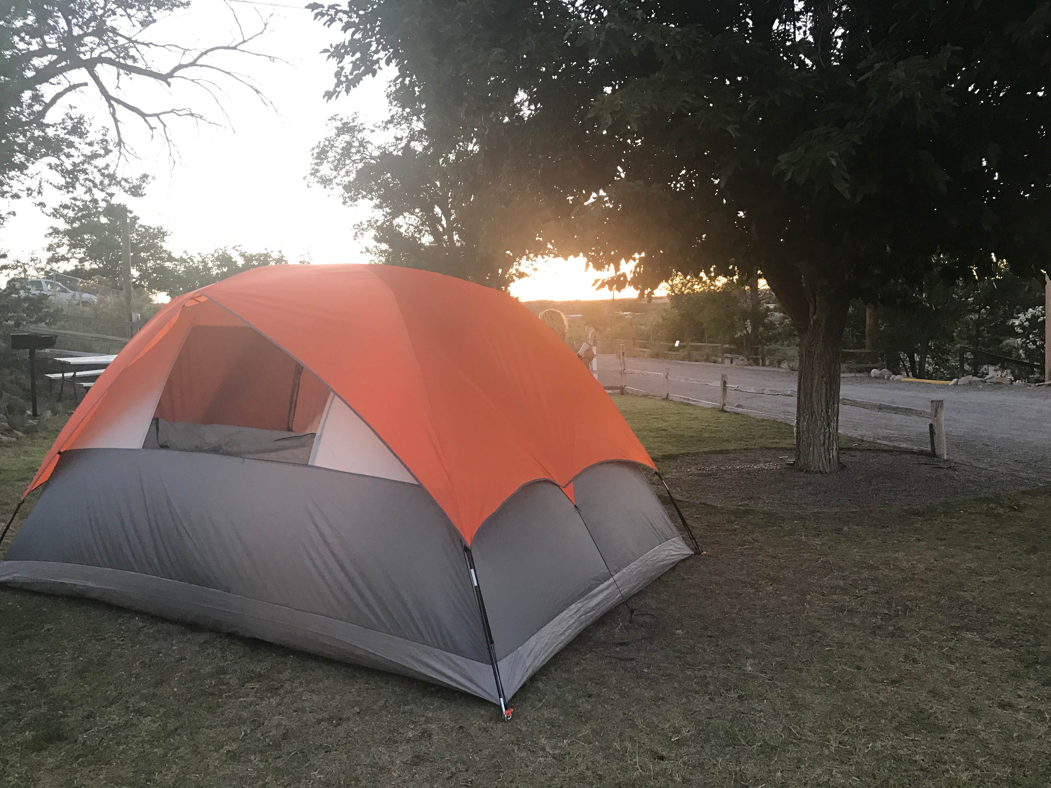 Crystal C.'s photo at Las Cruces KOA in New Mexico