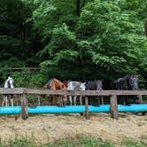 Review photo of Smokemont Campground — Great Smoky Mountains National Park by Bryan W., June 1, 2022