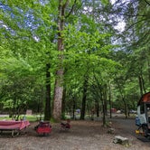 Review photo of Smokemont Campground — Great Smoky Mountains National Park by Bryan W., June 1, 2022