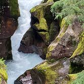 Review photo of Fish Creek Campground — Glacier National Park by Brett , June 1, 2022