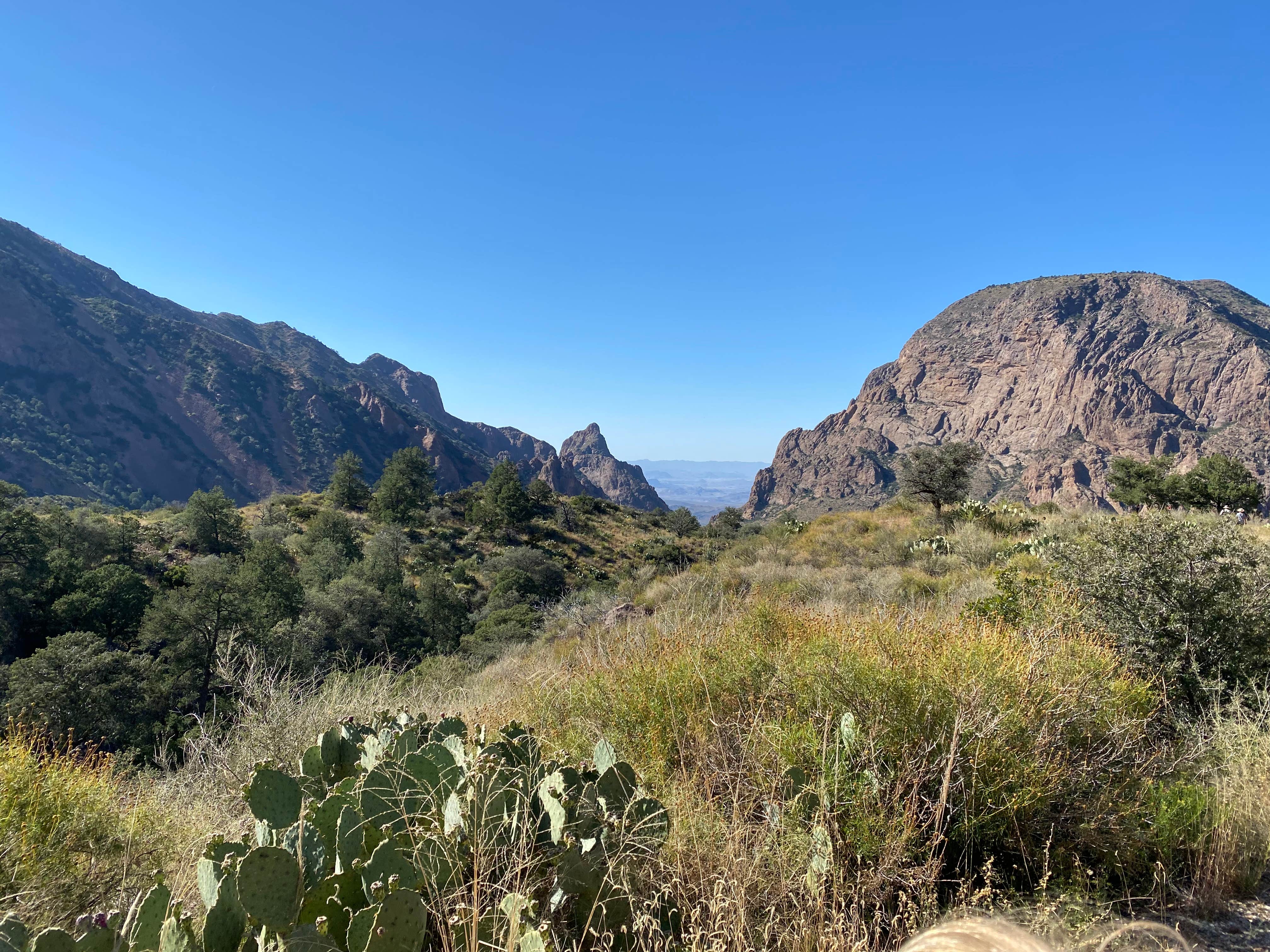 Camper submitted image from Rio Grande Village Campground, Big Bend National Park - 2