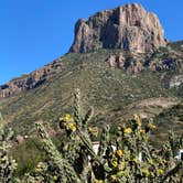 Review photo of Rio Grande Village Campground, Big Bend National Park by Jeff T., June 1, 2022