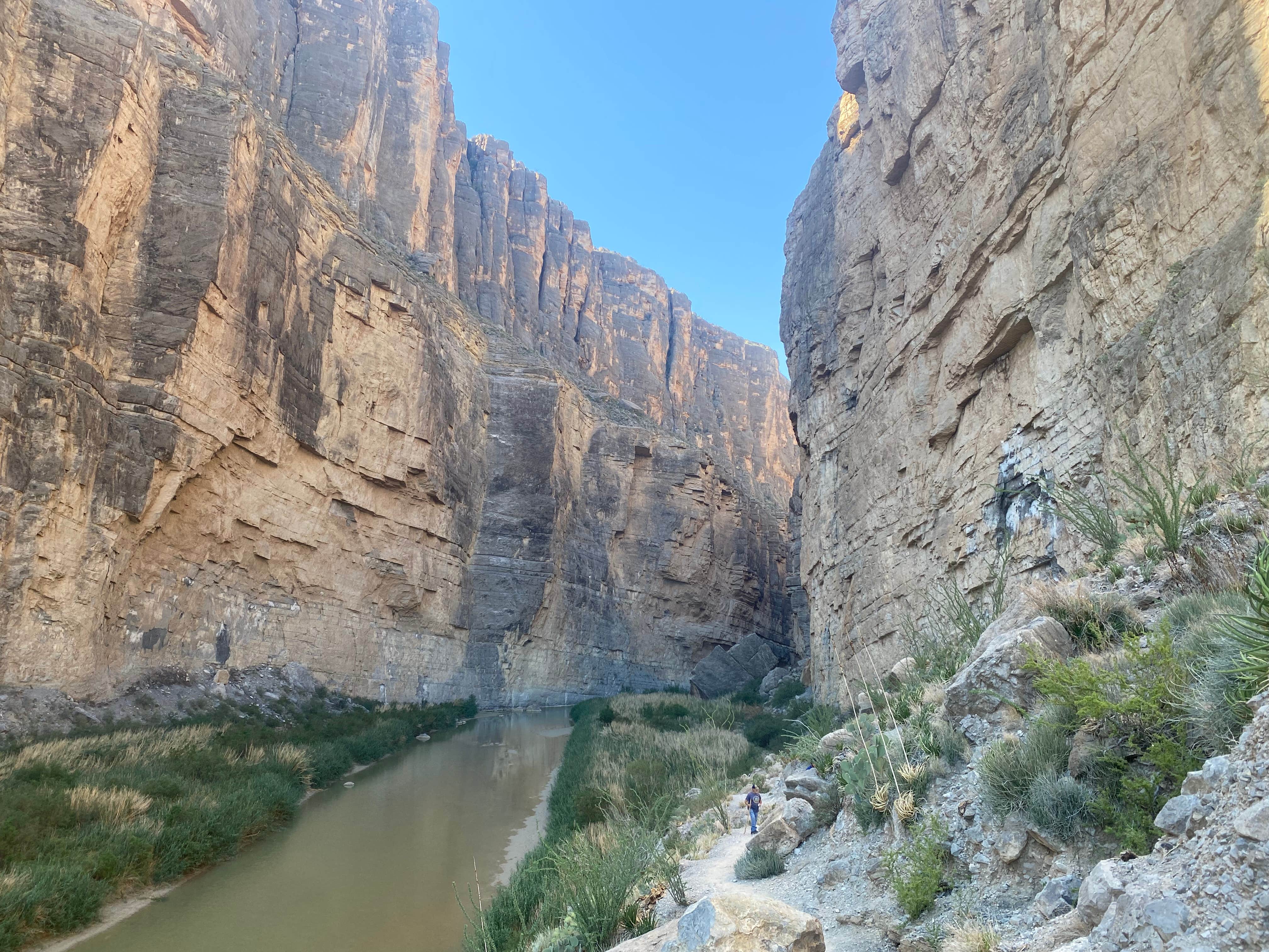 Camper submitted image from Rio Grande Village Campground, Big Bend National Park - 3