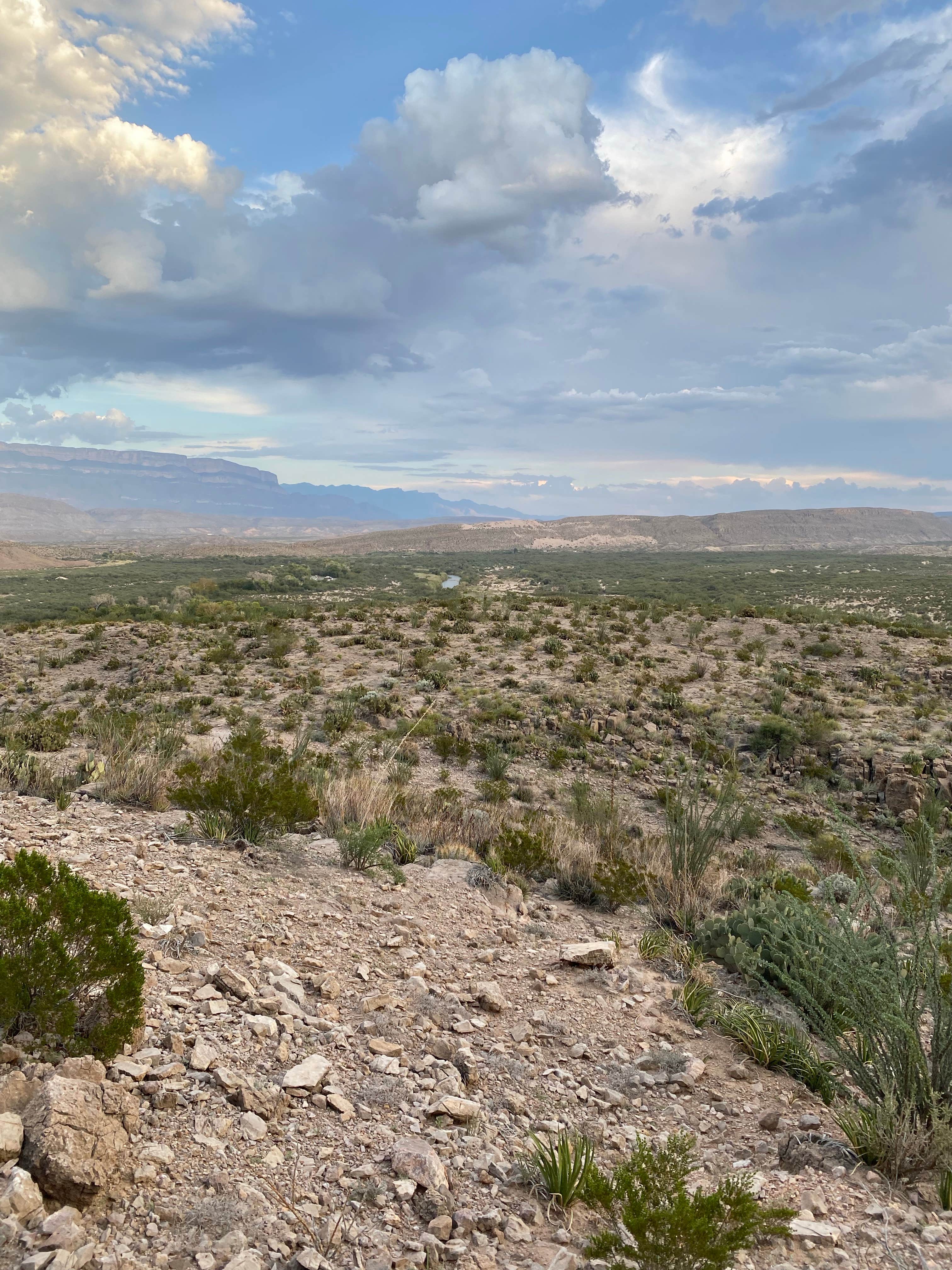 Camper submitted image from Rio Grande Village Campground, Big Bend National Park - 5