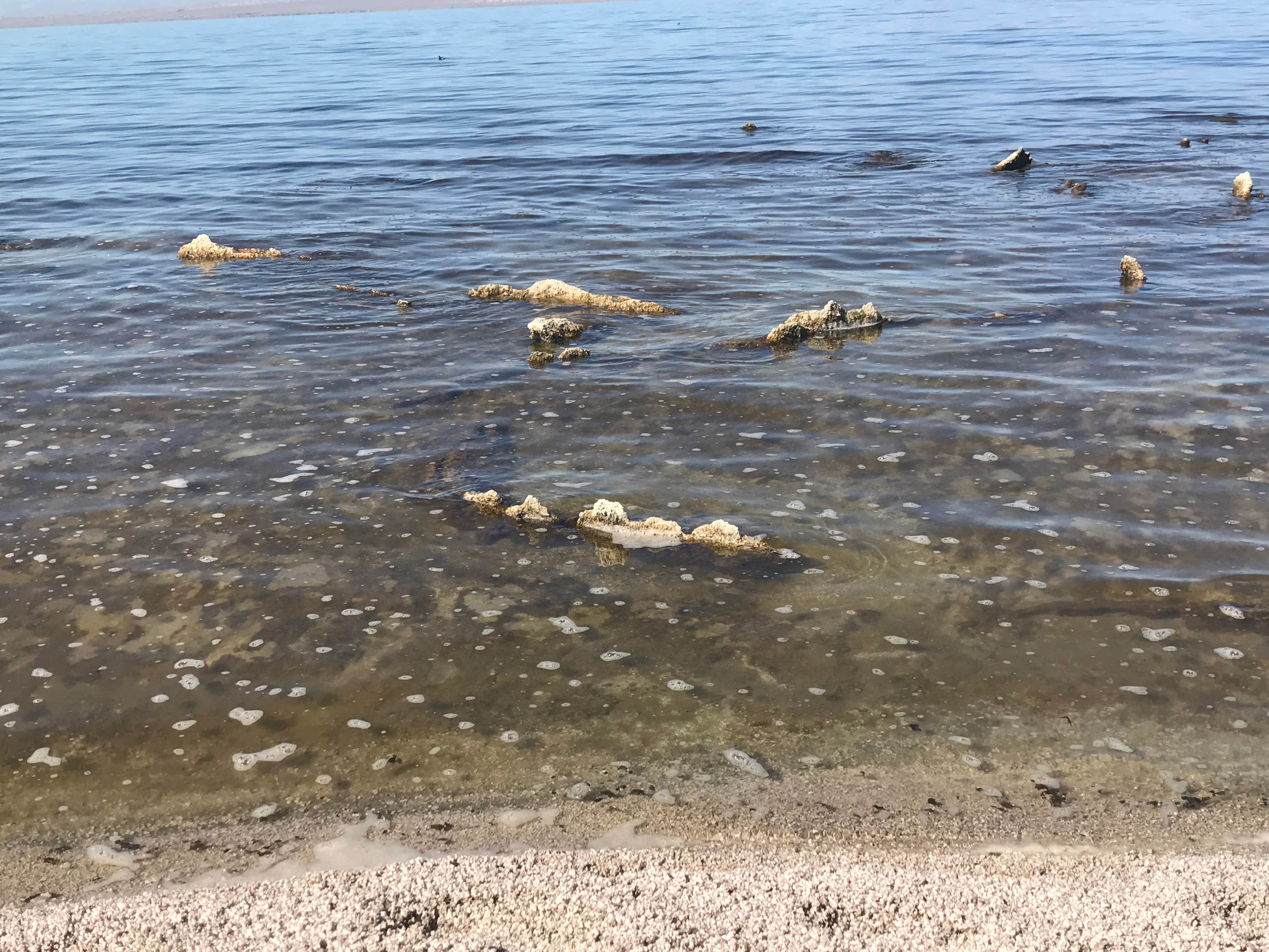Camper-submitted photo at Mecca Beach Campground — Salton Sea State Recreation Area near Coolidge Springs, CA