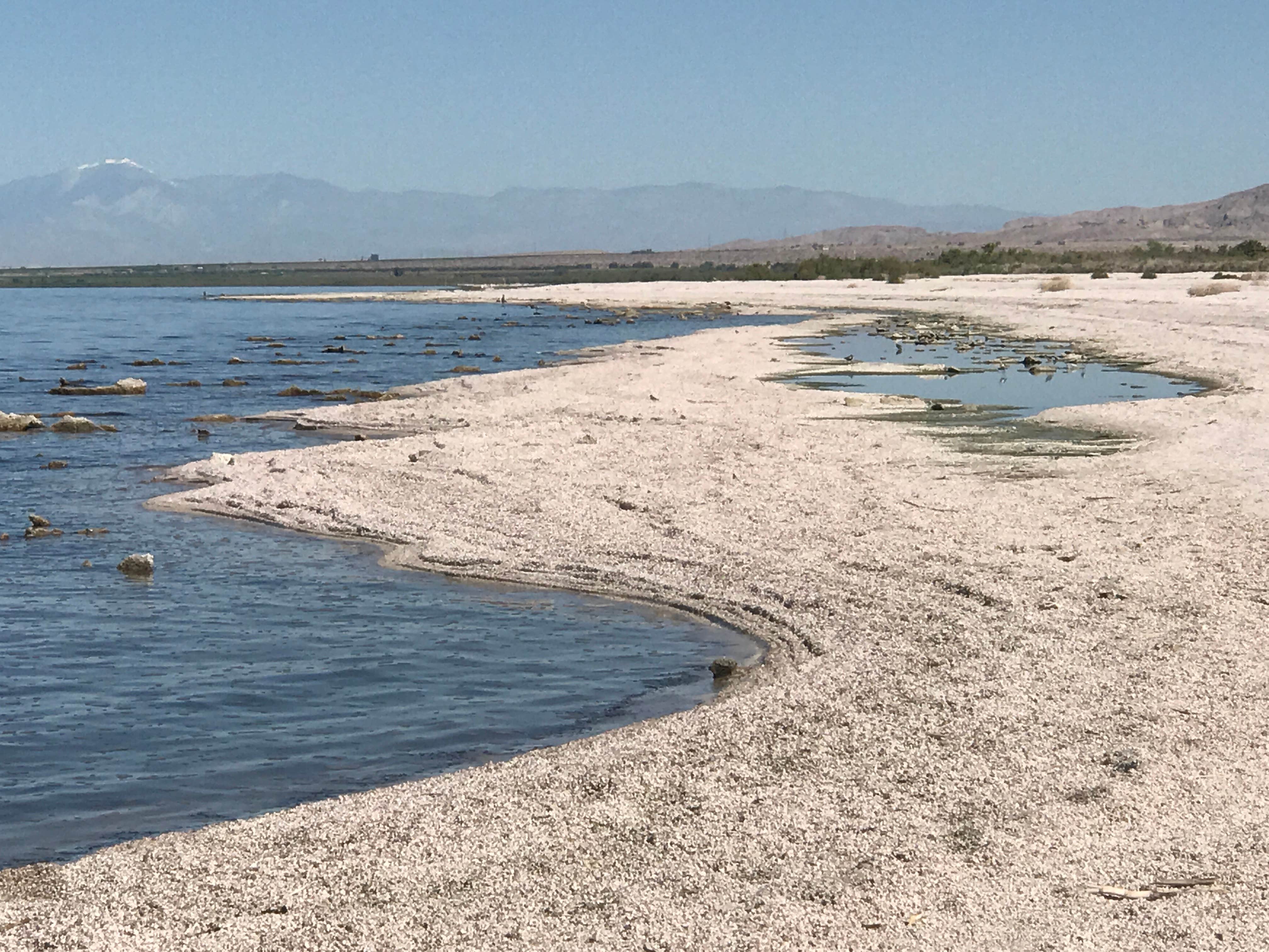 Camper submitted image from Mecca Beach Campground — Salton Sea State Recreation Area - 5