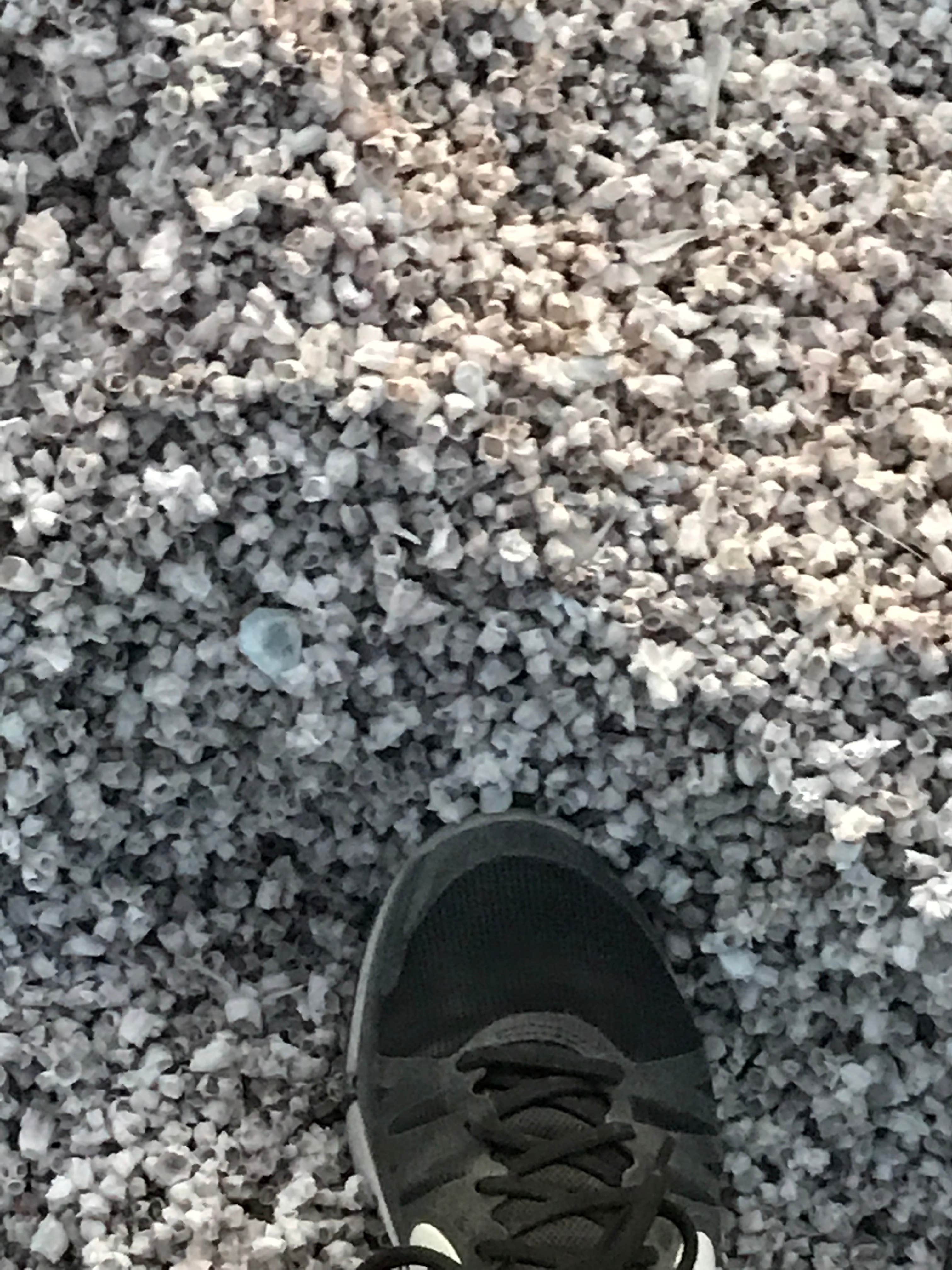 Camper-submitted photo at Mecca Beach Campground — Salton Sea State Recreation Area near Coolidge Springs, CA