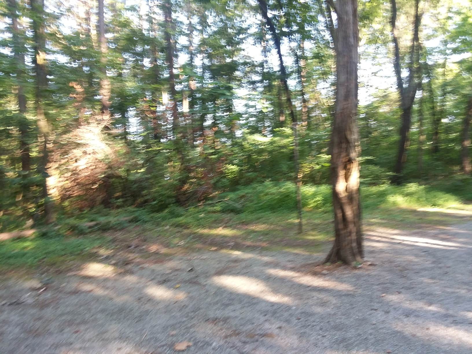 Camper-submitted photo at Oak Point Campground near Stonefort, IL