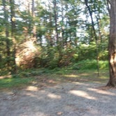 Review photo of Oak Point Campground by Claudia L., July 15, 2018