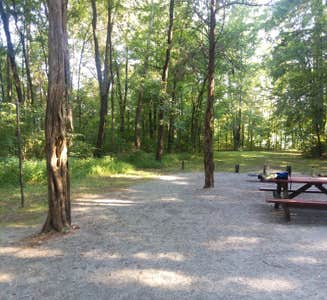 Camper-submitted photo from Fort Massac State Park Campground