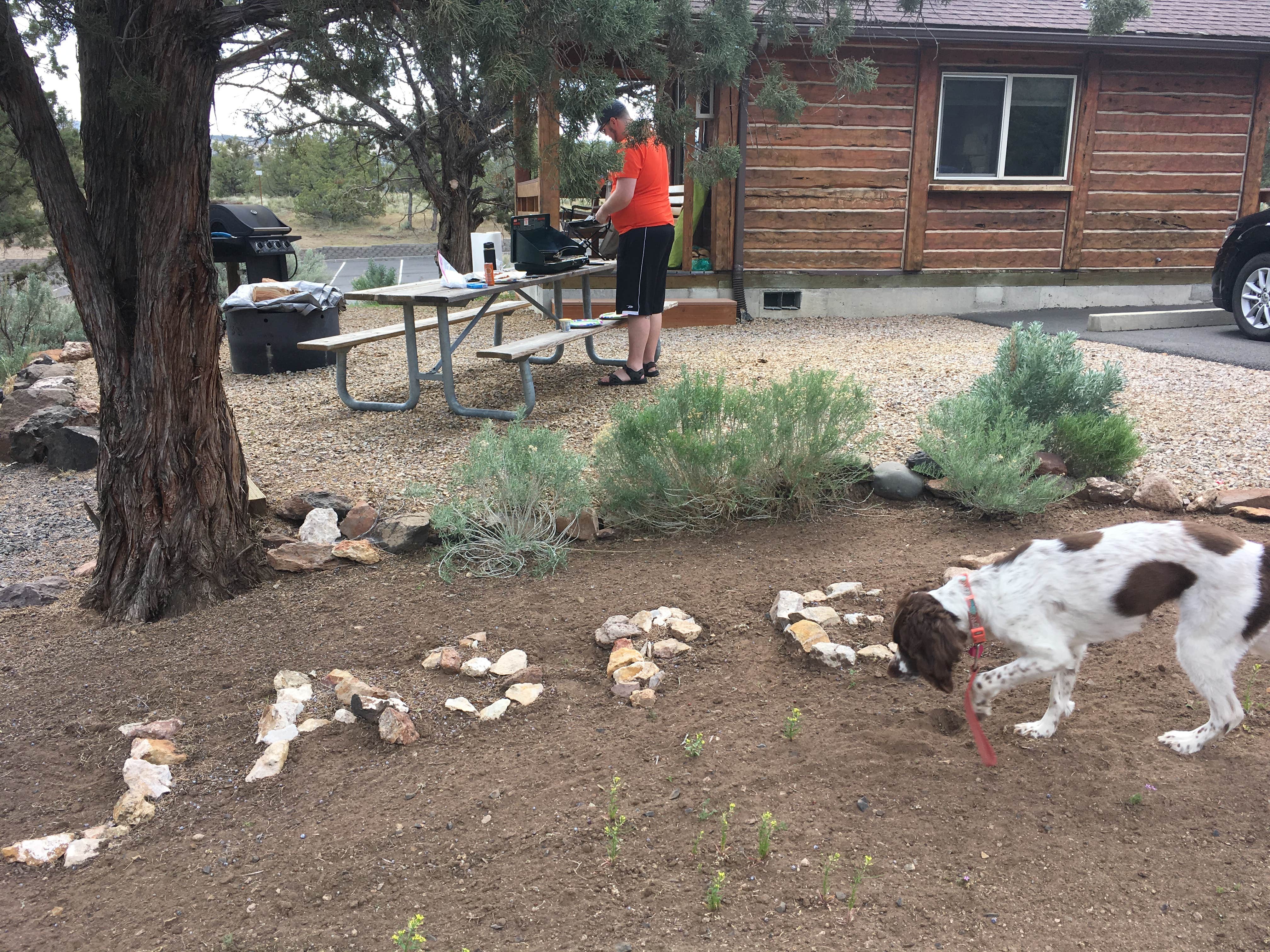Kelly N.'s photo of camping with pets at Prineville Reservoir Main Campground — Prineville Reservoir State Park near Central Oregon