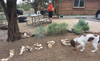 Kelly N.'s photo of camping with pets at Prineville Reservoir Main Campground — Prineville Reservoir State Park near Central Oregon