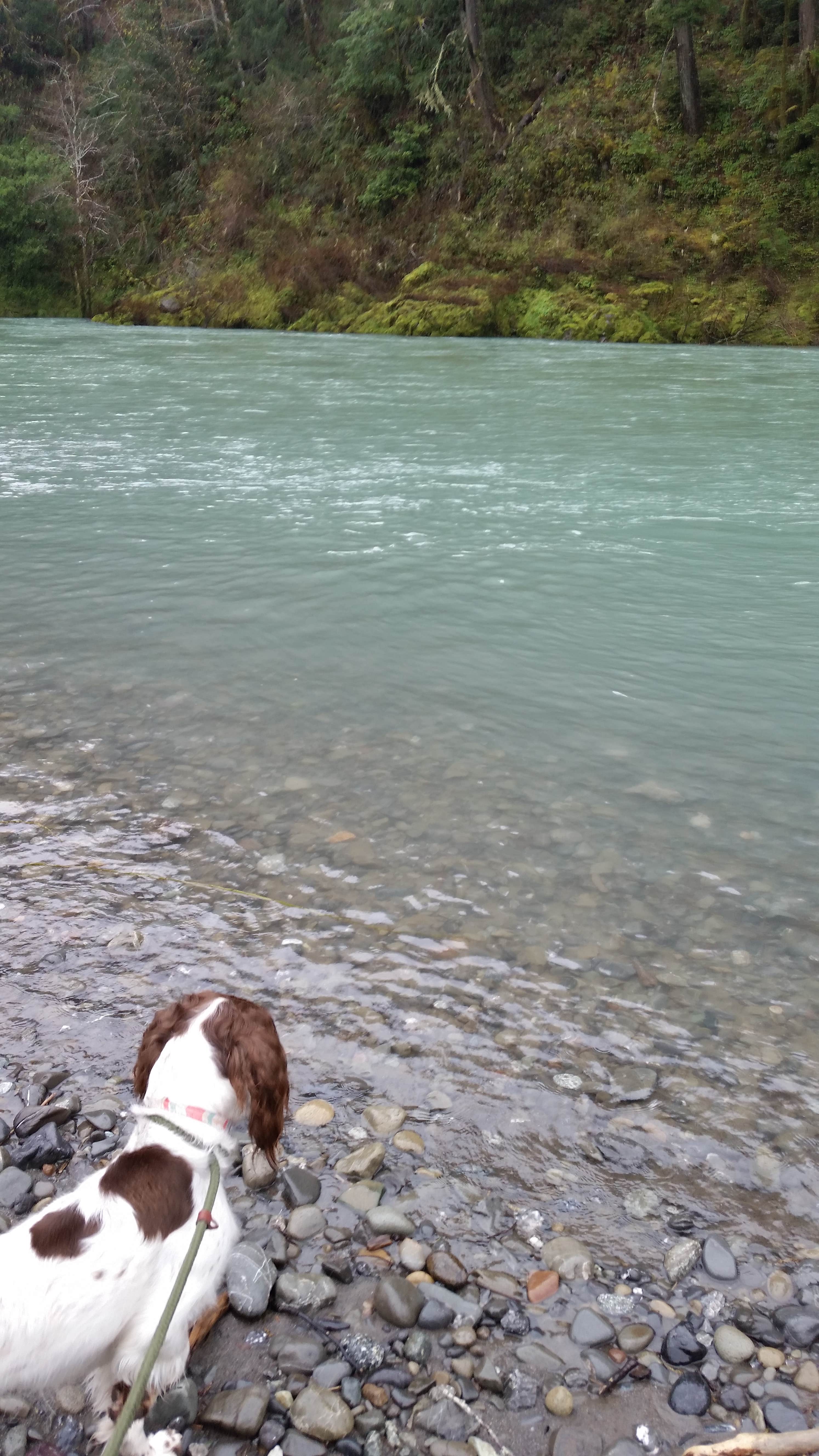 Nicolaus N.'s photo of camping with pets at Valley of the Rogue State Park Campground near Grants Pass, OR