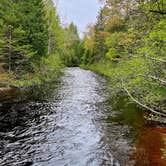 Review photo of High Bridge State Forest Campground by Mark N., June 1, 2022