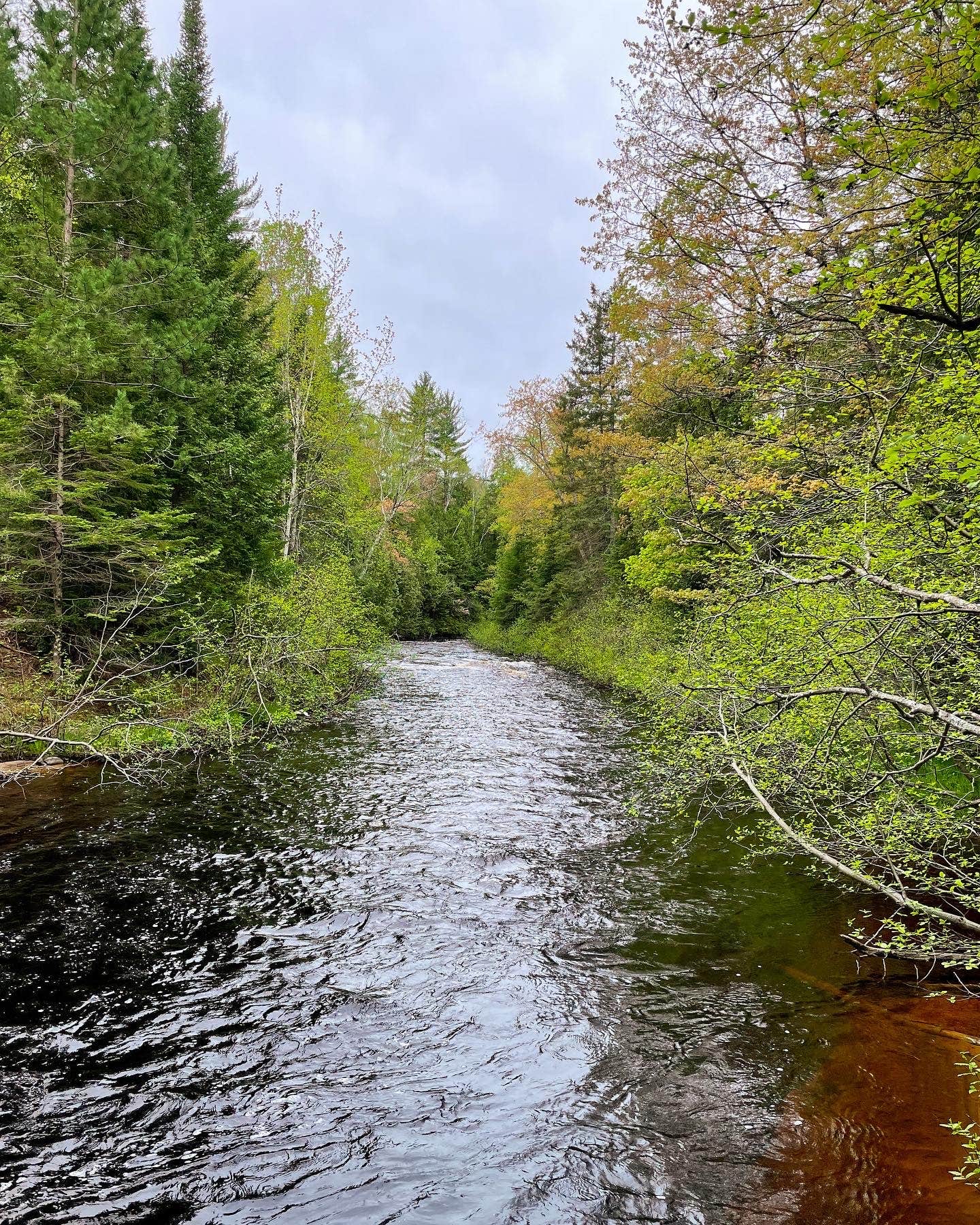 Camper submitted image from High Bridge State Forest Campground - 2