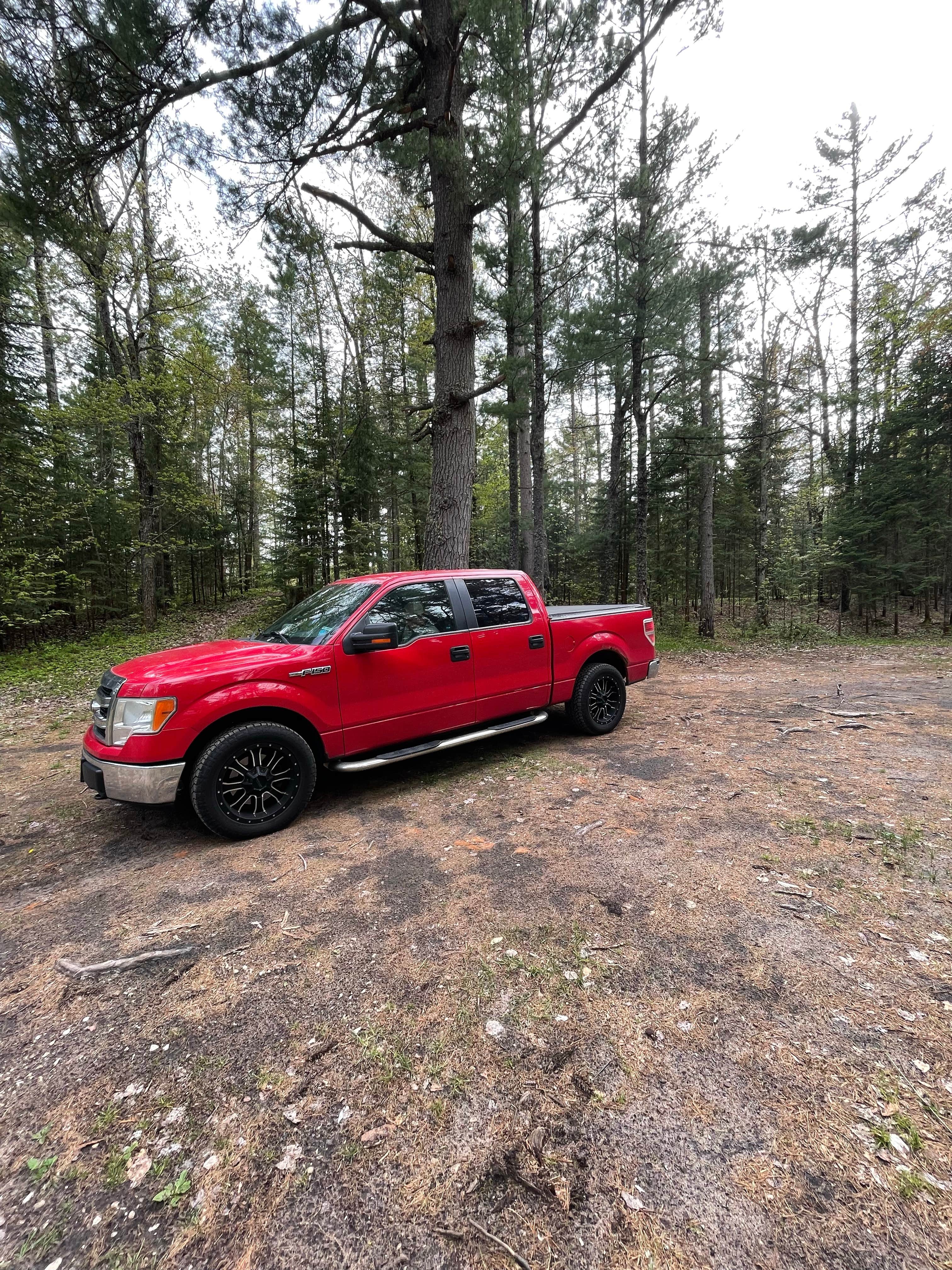 Camper submitted image from High Bridge State Forest Campground - 3