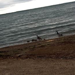 Gull Point State Park