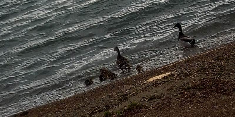 Camper submitted image from Gull Point State Park Campground