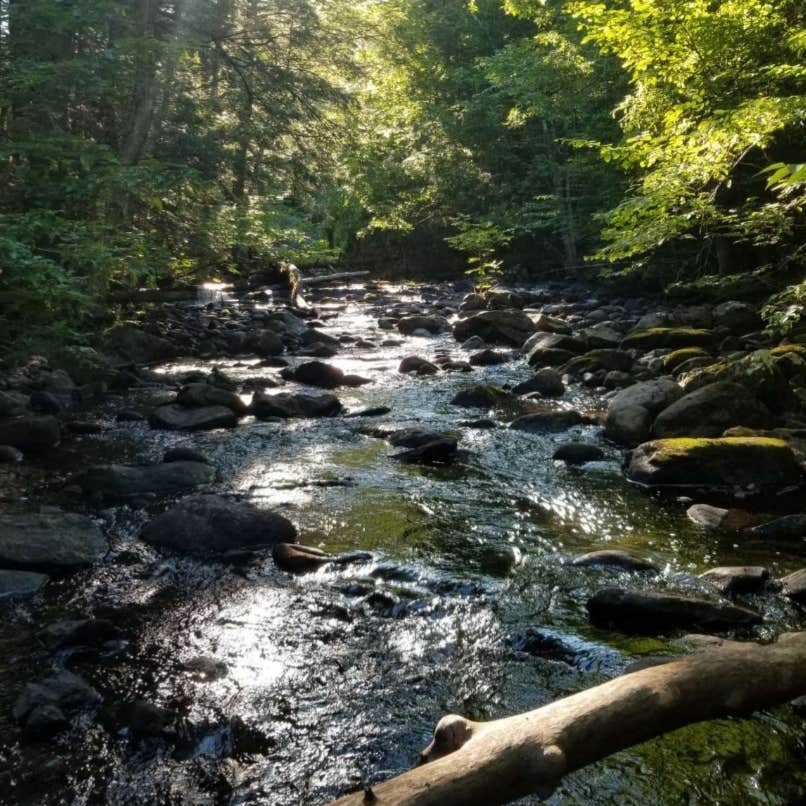 Camper-submitted photo at Davey Falls ADK near Goshen, VT