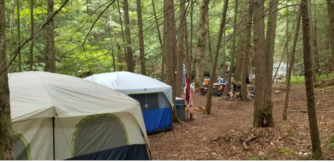 Keith D.'s photo of tent camping at Davey Falls ADK near Poultney, VT