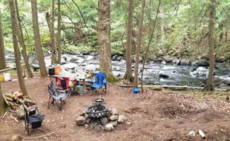 Keith D.'s photo of tent camping at Davey Falls ADK near Keene Valley, NY