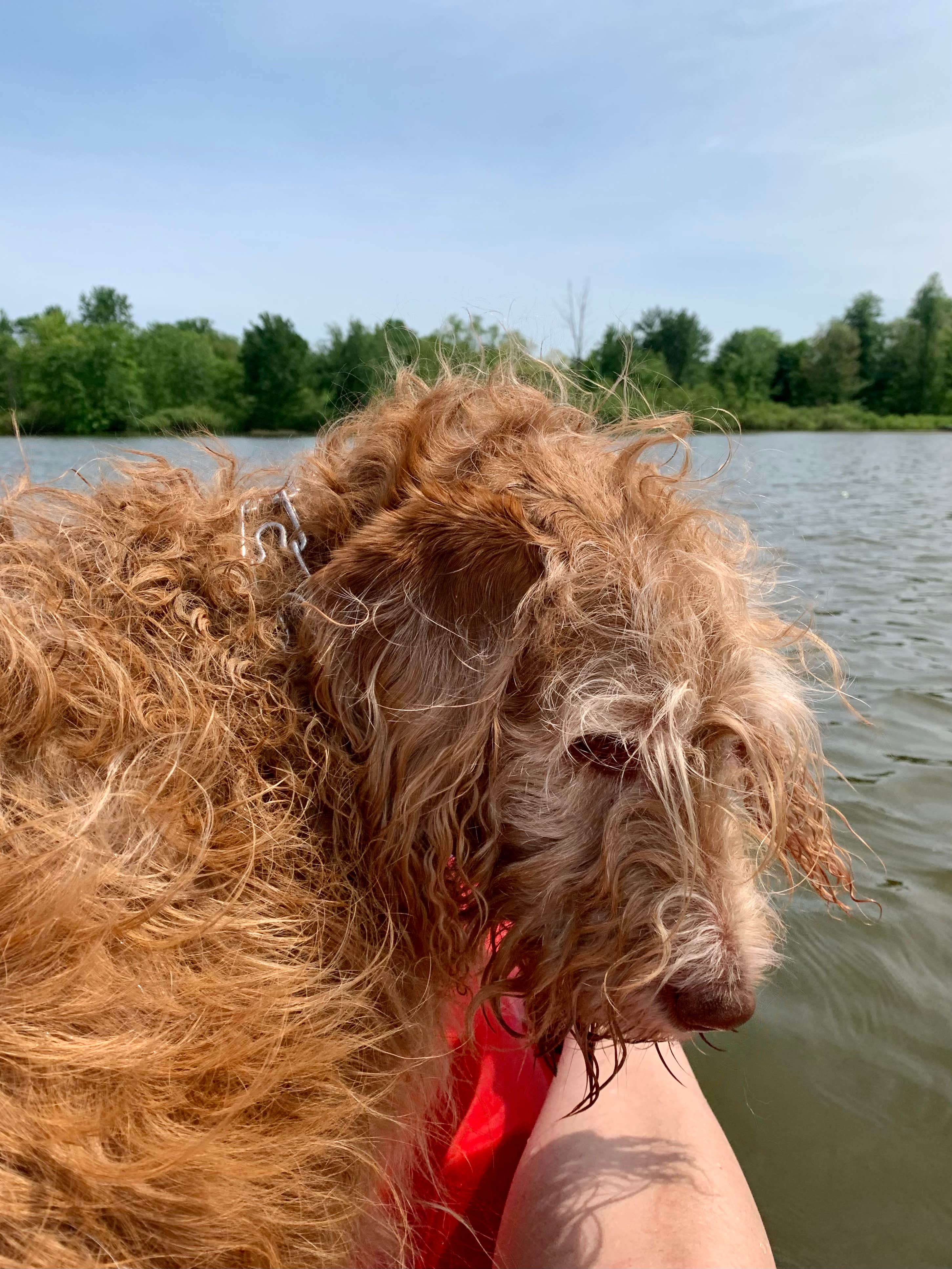 Camper-submitted photo at Welcome Woods Family Campground near Caledonia, MI
