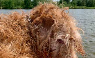 Stacia L.'s photo of camping with pets at Welcome Woods Family Campground near Grand Rapids, MI