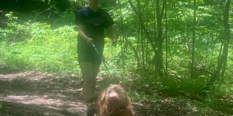 Camper submitted image from Welcome Woods Family Campground