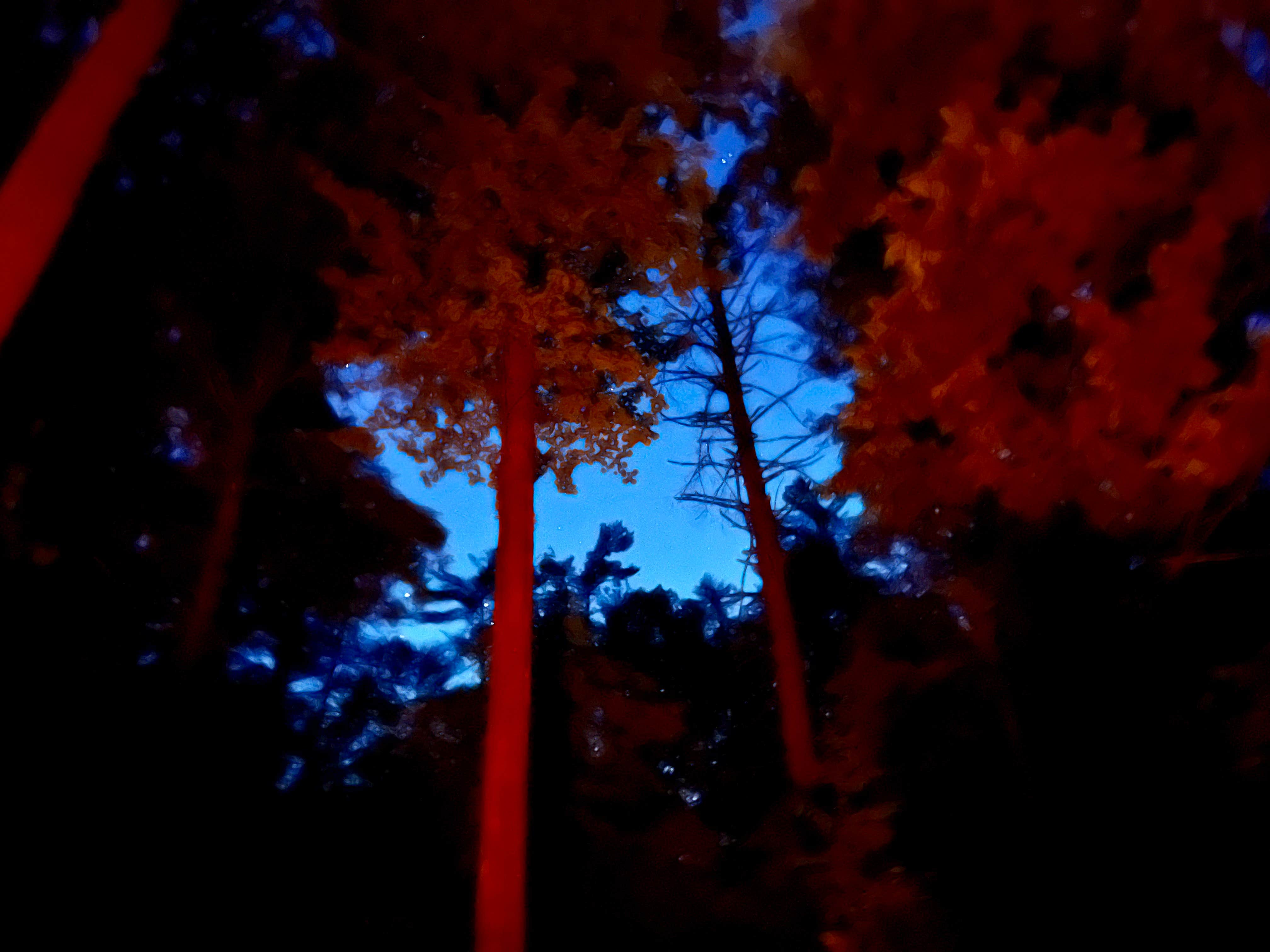 Camping near Murrays Lake Primitive: Big Creek Primitive Camping Area, Reliance, Tennessee