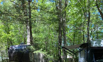 Camping near Apache Campground: The Caseys Stadig Campground, Wells, Maine