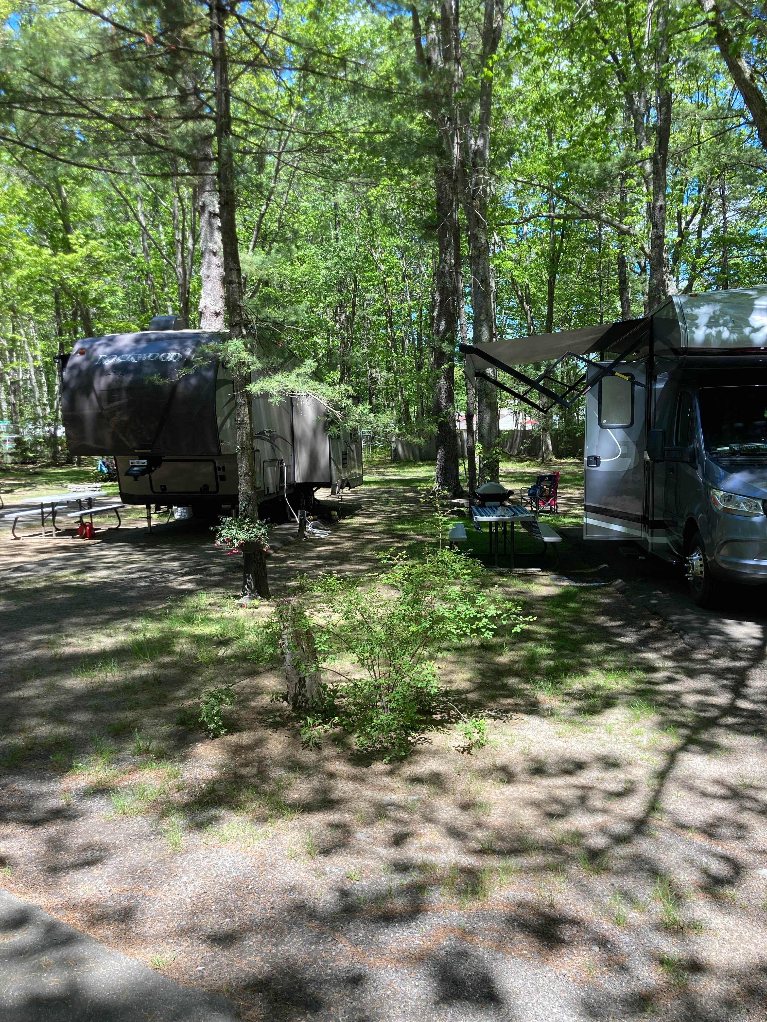 Camper submitted image from The Caseys Stadig Campground - 1