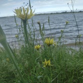 Review photo of Branched Oak Lake State Rec Area by Jennifer T., June 1, 2022