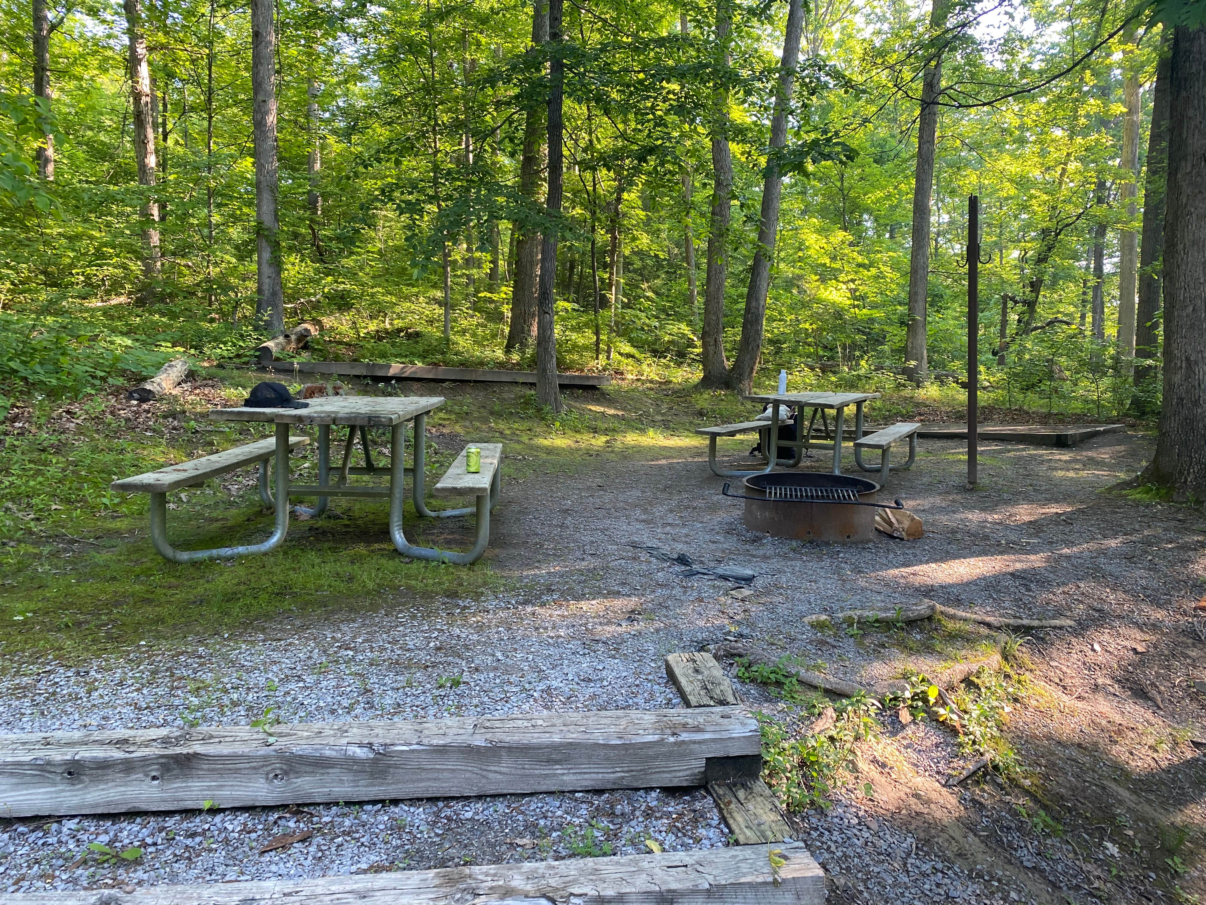 Jon C.'s photo at Seneca Shadows near Harman, WV