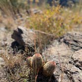 Review photo of Davis Mountains State Park by Jeff T., June 1, 2022