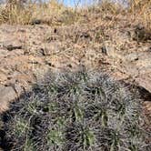 Review photo of Davis Mountains State Park by Jeff T., June 1, 2022