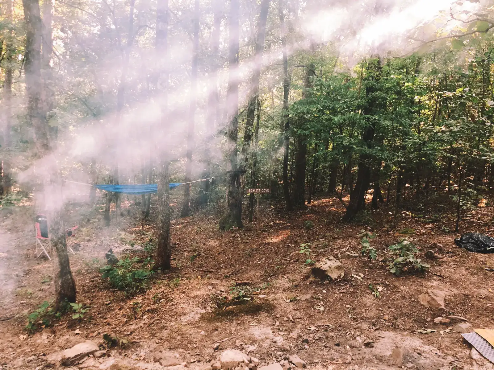 Camper-submitted photo at Bluegill Hill near Norman, AR