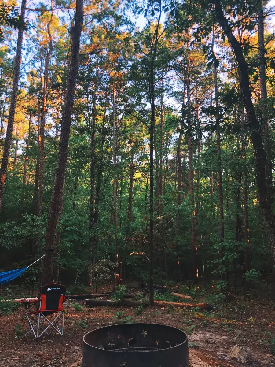 Camper-submitted photo at Bluegill Hill near Norman, AR