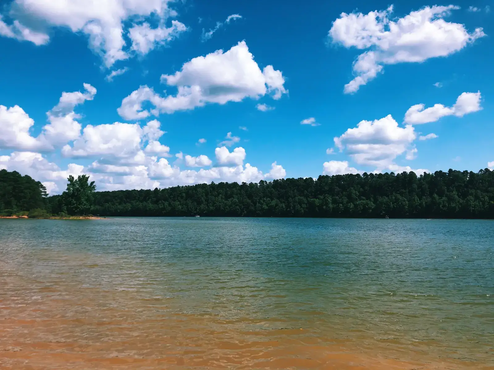 Camper-submitted photo at Bluegill Hill near Norman, AR